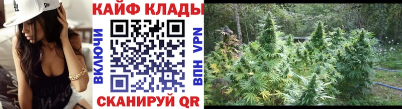 Купить наркотики цена Болохово СК  NBOMe  Мефедрон  Галлюциногенные грибы 