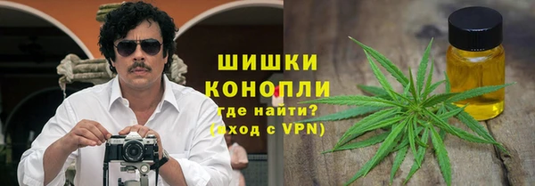 индика Медногорск