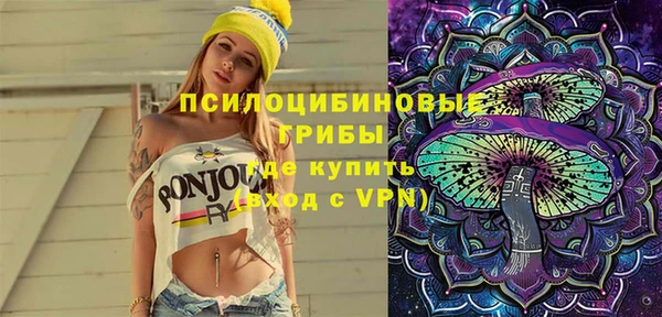 индика Медногорск