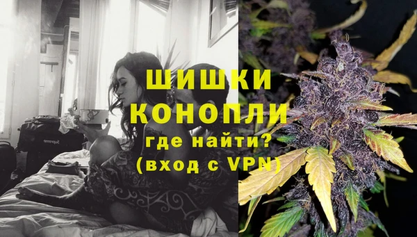 индика Медногорск