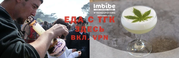 индика Медногорск