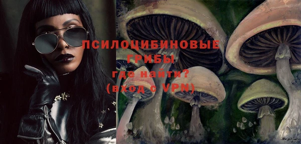 спиды Беломорск