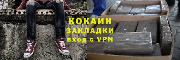 индика Медногорск