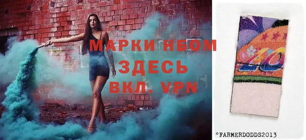 индика Медногорск