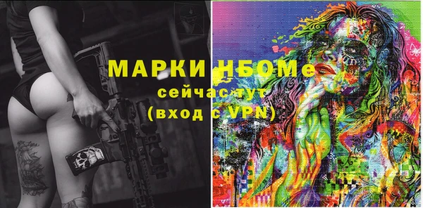 индика Медногорск