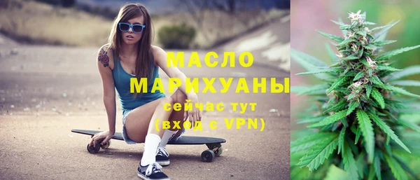 индика Медногорск