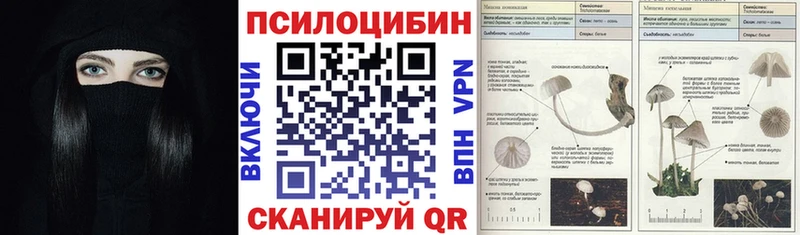 shop Telegram  Болохово  Псилоцибиновые грибы Psilocybine cubensis  где можно купить  